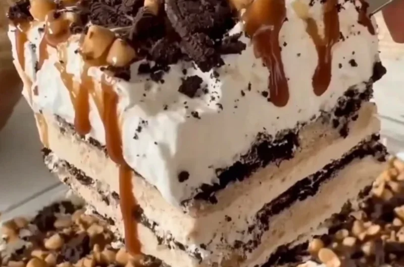 Delicious homemade ice cream cake with chocolate layers and colorful sprinkles.