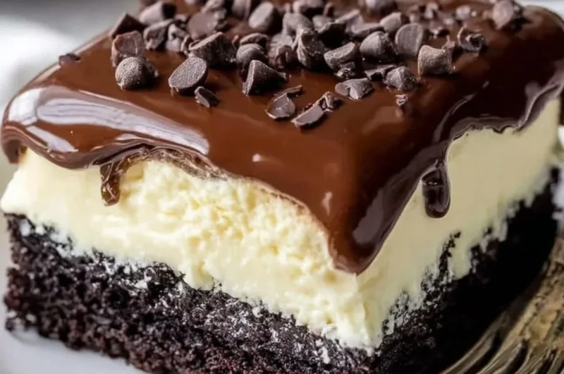 Delicious Chocolate Ooey Gooey Cake with rich chocolate glaze